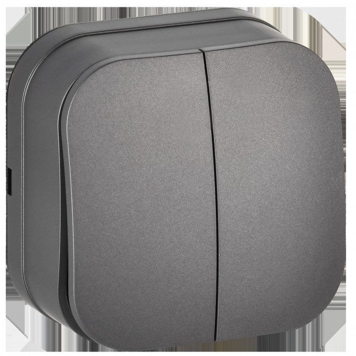 GLORY Выключатель 2-клавишный для открытой установки 10А ВС20-2-0-ХСм сталь матовый IEK GLORY Выключатель 2-клавишный для открытой установки 10А ВС20-2-0-ХСм сталь матовый IEK