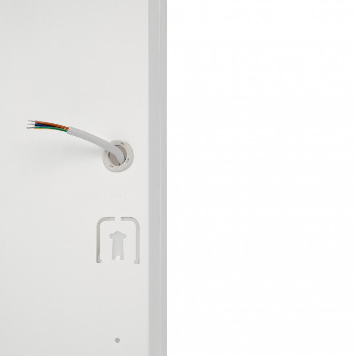 PPL PRO-3 595/U OPAL 36w 6500K IP40 (3г.гар 310mA 38mm) Jazzway