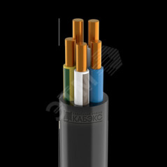 Кабель силовой ВВГнг(А)-LSLTx 5x10 ок(N, PE)-1