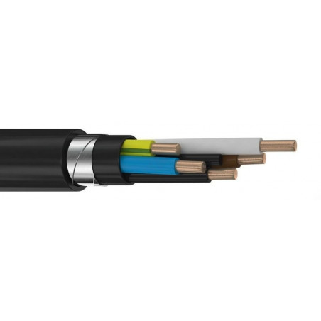 Кабель силовой ВБШвнг(А)-ХЛ 5х6,0 ок (N,PE)-0,66
