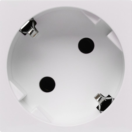 Розетка с заземлением - безвинтовые зажимы - без шторок 16А 250В - 45°- 2 модуля - белый