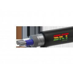 Кабель силовой АВБШв 2х25мк(N)-0.66 ВНИИКП