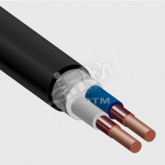 Кабель силовой ВБШвнг(А) 2х10 ок(N)-0,66