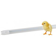 Лампа светодиодная полноспектральная Т8 с красными и белыми светодиодами для профессионального выращивания растений FITO-18W-Ra9