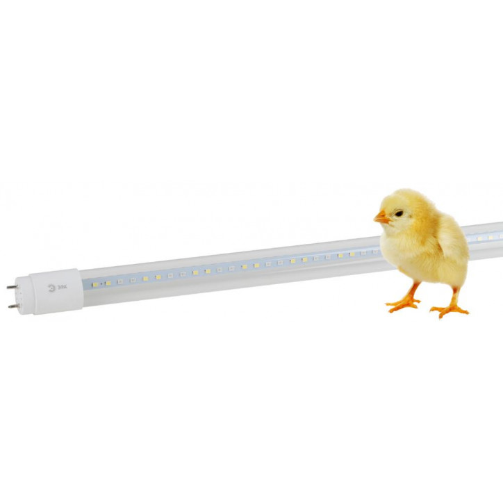 Лампа светодиодная полноспектральная Т8 с красными и белыми светодиодами для профессионального выращивания растений FITO-18W-Ra9 Лампа светодиодная полноспектральная Т8 с красными и белыми светодиодами для профессионального выращивания растений FITO-18W-Ra9