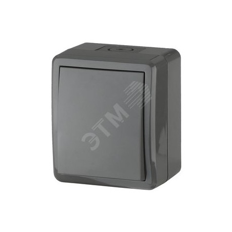 Переключатель IP54, 10АХ-250В, ОУ, Эра Эксперт, серый,11-1403-03