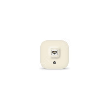 Розетка компьютерная одноместная серия IONICH, о/у, 1А, RJ45, слоновая кость (ivory)