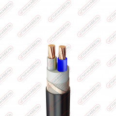 Кабель силовой ВБШвнг(А) -FRLS 2x10 ок(N)-1