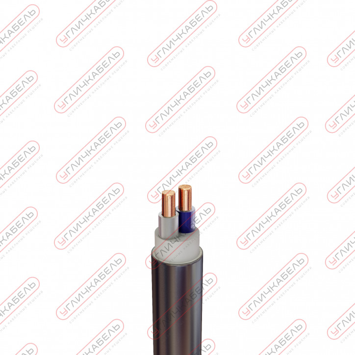 Кабель силовой ВВГнг(А) -FRLS 2x6 ок(N)-0,66