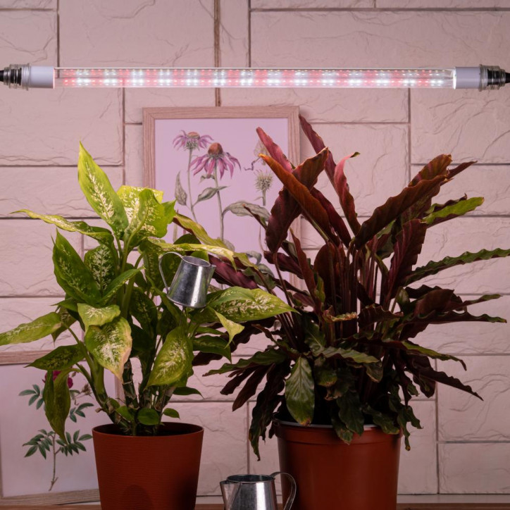 Лампа светодиодная полноспектральная Т8 с красными и белыми светодиодами для профессионального выращивания растений FITO-18W-Ra9 Лампа светодиодная полноспектральная Т8 с красными и белыми светодиодами для профессионального выращивания растений FITO-18W-Ra9