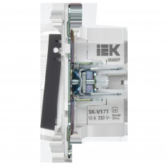 SKANDY Кнопка звонка с индикацией для отелей 10А SK-V17T титан IEK