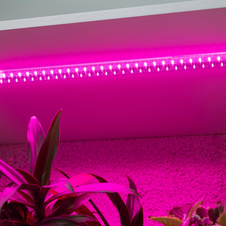 Светильник для растений, фитолампа светодиодная линейная FITO-10W-Т5-RB-Slim красно-синего спектра 10 Вт Т5