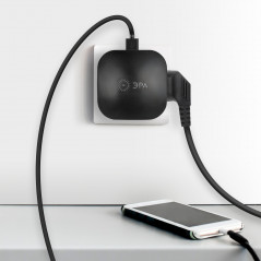 Фасадная подсветка Хром, на солнечной батарее, 4LED, 7lm ERAFS024-38