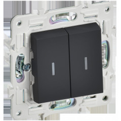SKANDY Выключатель 2-клавишный проходной с индикацией 10А SK-V10G графит IEK