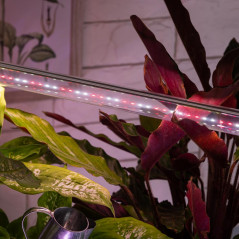 Лампа светодиодная полноспектральная Т8 с красными и белыми светодиодами для профессионального выращивания растений FITO-18W-Ra9