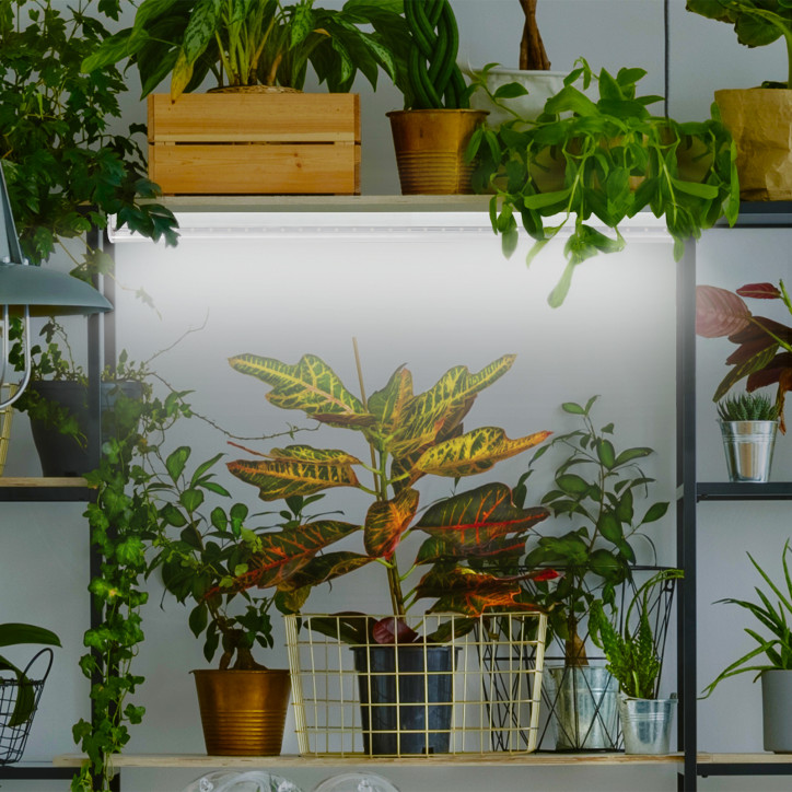 Лампа светодиодная полноспектральная Т8 с красными и белыми светодиодами для профессионального выращивания растений FITO-18W-Ra9 Лампа светодиодная полноспектральная Т8 с красными и белыми светодиодами для профессионального выращивания растений FITO-18W-Ra9