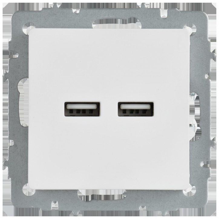 BRITE Розетка USB A+A 5В 3,1А РЮ10-1-БрАБ арктический белый IEK BRITE Розетка USB A+A 5В 3,1А РЮ10-1-БрАБ арктический белый IEK