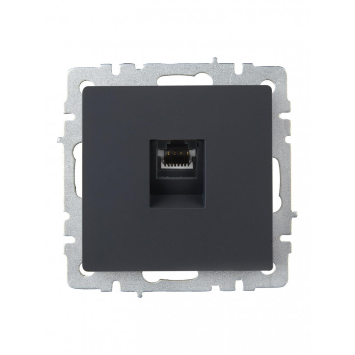 BRITE Розетка компьютерная RJ45 кат.5E РК10-БрГ графит BRITE Розетка компьютерная RJ45 кат.5E РК10-БрГ графит