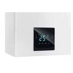 Котел газовый C30 24 C настенный 24 кВт двухконтурный с закрытой камерой сгорания