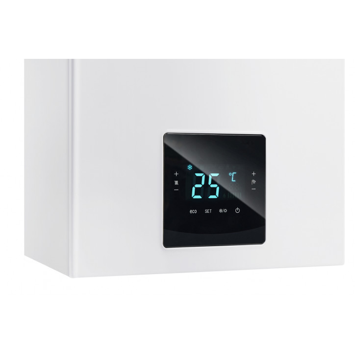 Котел газовый C30 24 C настенный 24 кВт двухконтурный с закрытой камерой сгорания