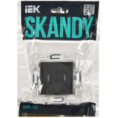 SKANDY Выключатель 2-клавишный с индикацией 10А SK-V09T титан IEK