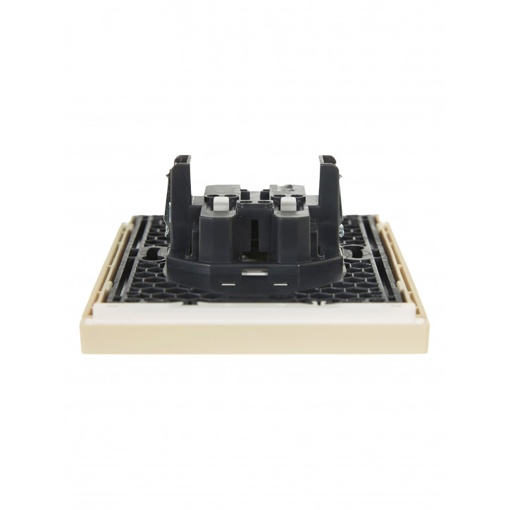 FORTE@PIANO Розетка 2-местная без заземления без защитных шторок безвинтовое крепление 10А FP426 ваниль IEK