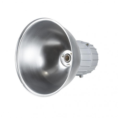 Светильник ГСП/ЖСП-51-250-011 со стеклом встроенный ПРА IP65