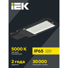 Светильник LED консольный уличный ДКУ 1013-120Д 5000К IP65