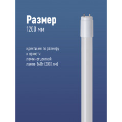 Лампа светодиодная LED 20Вт T8 G13 D25х1200 4000К белый 2000 лм