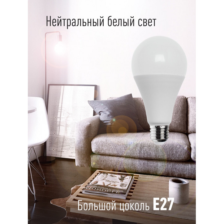 Лампа светодиодная LED 25Вт 220В E27 D65х130 4500 белый A65