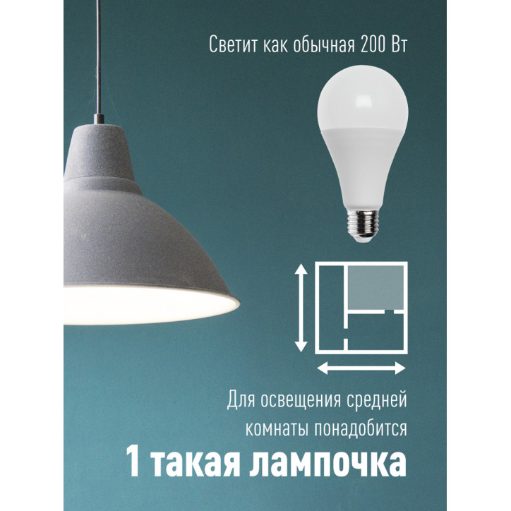 Лампа светодиодная LED 25Вт 220В E27 D65х130 4500 белый A65