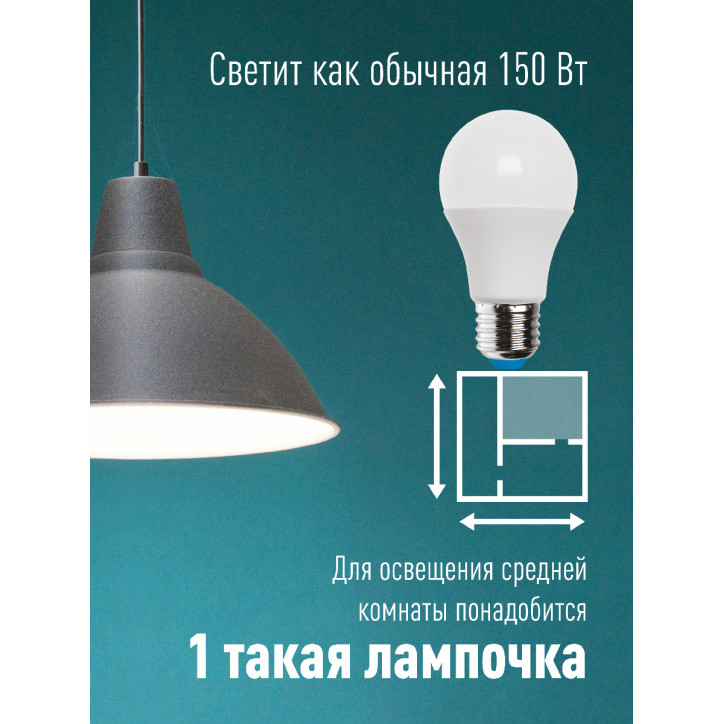 Лампа светодиодная LED 25Вт 220В E27 D65х130 6500К холодный A65