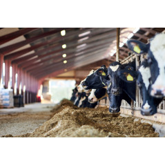 LIGHTING PRO Светильник ДСП 1471 18Вт 5000К IP69 пластик PMMA IEK