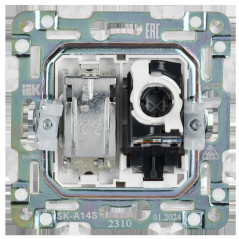 SKANDY Розетка двойная TV+RJ45 кат.5E SK-A14S серебряный IEK