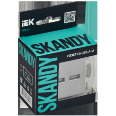 SKANDY Розетка USB A+C 18Вт SK-R13T титан IEK