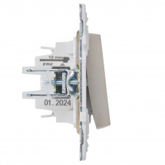 SKANDY Выключатель 1-клавишный с индикацией 10А SK-V07Sh шампань IEK