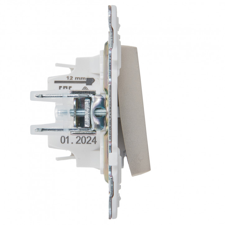 SKANDY Выключатель 1-клавишный с индикацией 10А SK-V07Sh шампань IEK