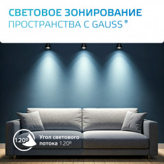 Светильник трековый на шинопровод под лампу 1хGU10 AC 220В Черный IP20 D80х145мм однофазный Track Ga