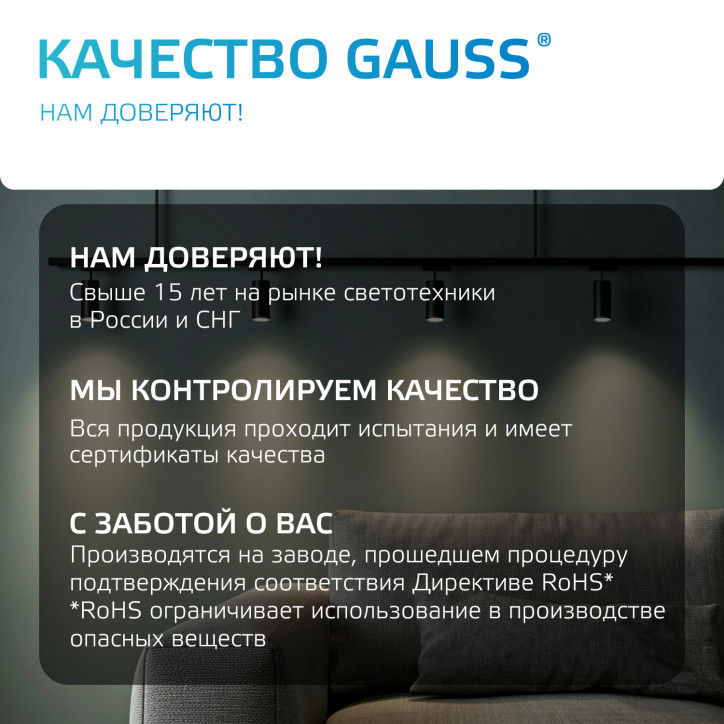 Шинопровод накладной AC 220В Черный IP20 2000х34мм с адаптером питания и заглушкой Track Gauss Шинопровод накладной AC 220В Черный IP20 2000х34мм с адаптером питания и заглушкой Track Gauss