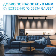 Шинопровод накладной AC 220В Черный IP20 2000х34мм с адаптером питания и заглушкой Track Gauss