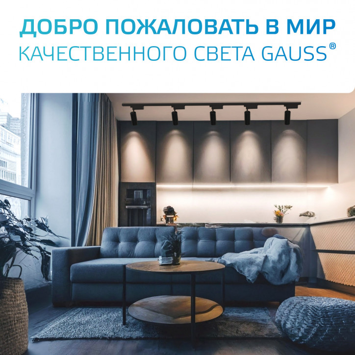 Шинопровод встраиваемый AC 220В Черный IP20 1000х60мм с адаптером питания и заглушкой Track Gauss