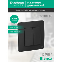 BLANCA скрытой установки двухклавишный выключатель (cх.5), 10A, 250B, антрацит