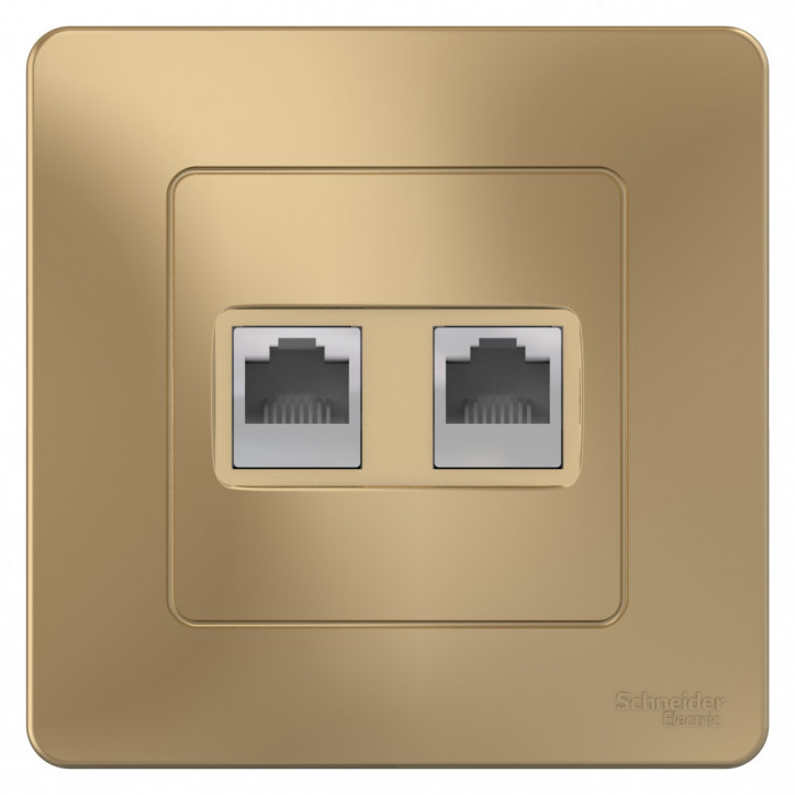 BLANCA скрытой установки розетка двойная компьютерная+телефон, титан