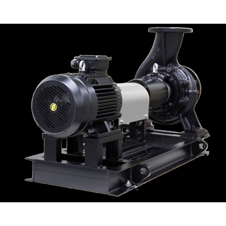 Насос консольный VNK 125-100_300 Q-A-E-B-AB-E Насос консольный VNK 125-100_300 Q-A-E-B-AB-E