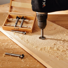 Набор сверл Форстнера (петельных) по дереву, 10-15-20-25-35 х 73 мм, 5 шт, цилиндрический хвостовик