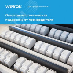 Реле напряжения Welrok D2-40 red