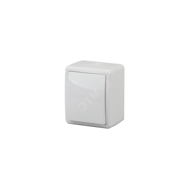 Выключатель IP54, 10АХ-250В, ОУ, Эра Эксперт, белый,11-1401-01