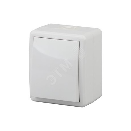 Выключатель IP54, 10АХ-250В, ОУ, Эра Эксперт, белый,11-1401-01