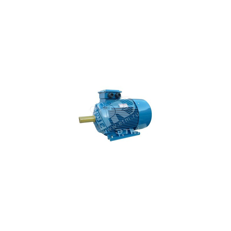 Электродвигатель 5АИ 200 L2 45/3000 IM 1001