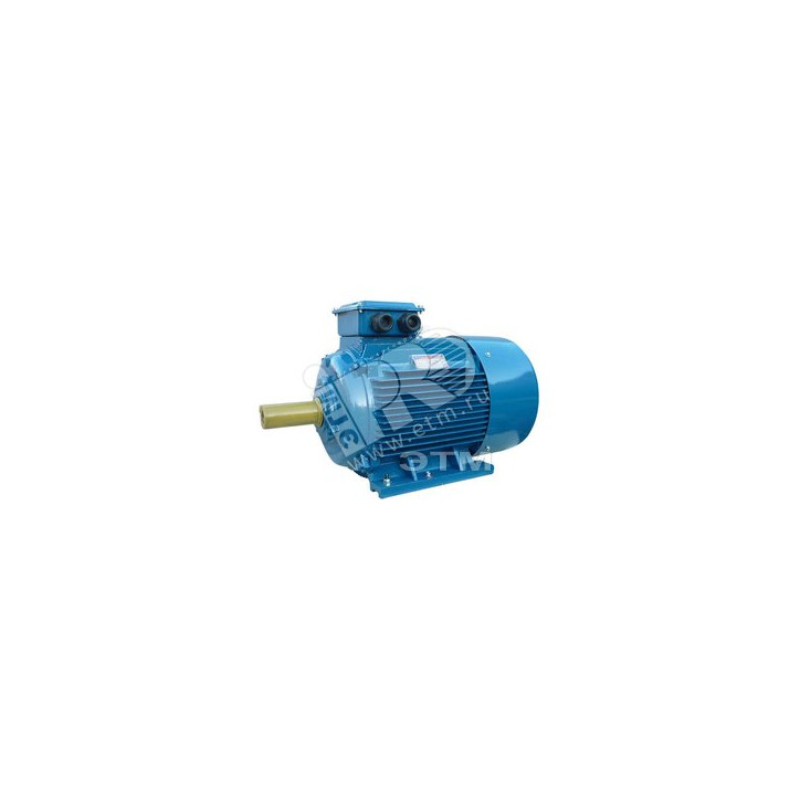 Электродвигатель 5АИ 200 L2 45/3000 IM 1001